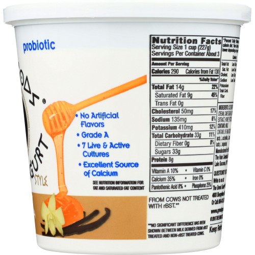 THE GREEK GODS Honey Vanilla GreekStyle Yogurt, 24 oz