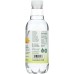 HINT: Water Essence Pineapple, 16 fo