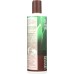 DESERT ESSENCE: Conditioner Tea Tree Replenishing, 12.9 fl oz