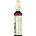 BACH ORIGINAL FLOWER REMEDIES: Pine, 0.7 oz