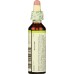 BACH ORIGINAL FLOWER REMEDIES: White Chestnut, 0.7 oz