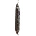 TROPICAL: Dark Chocolate Almonds with Turbinado Sugar, 16 oz