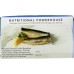 WILD PLANET: Wild Sardines in Water with Sea Salt, 4.38 oz