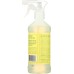 REBEL GREEN: Spray All Purpose Peppermint Lemon, 16 oz