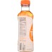 TREO: Orange Apricot Birch Water, 16 fl oz