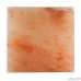 EVOLUTION SALT: Himalayan Salt Slab 8x8, 1 ea