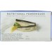 WILD PLANET: Wild Sardines In Water No Salt Added, 4.4 oz