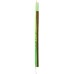 THE NEW PRIMAL: Turkey Stick Clantro Lime, 1 oz