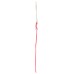 SCOTT PET: Cat Collar Pink With Bell, 1 ea