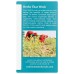 TRADITIONAL MEDICINALS: Tea Chai Dandelion Prbtic, 16 bg