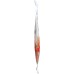 BADIA: Shrimp Dried, 0.5 oz
