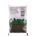 BADIA: Peppermint Cello, 0.25 oz