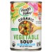 HEALTH VALLEY: Organic Vegetable Soup No Salt Added, 15 oz
