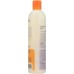 EARTH SCIENCE: Extra Gentle Fragrance Free Shampoo, 12 oz
