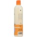 EARTH SCIENCE: Extra Gentle Fragrance Free Shampoo, 12 oz