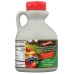BERNARD: Organic Pancake Syrup, 16 fo