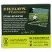 BIGELOW: Green Tea Classic 40Bg, 1.82 oz