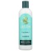 JASON: Purifying Tea Tree Shampoo, 12 oz