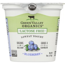 GREEN VALLEY ORGANICS: Yogurt Low Fat Lactose Free Blueberry, 6 oz