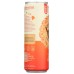 SHAKA TEA: Tea Herbal Mng Hbscs Rtd, 12 fo