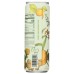 MABI ARTISANAL TEA: Apricot Passion Cold Brewed Spice Tea, 12 fo