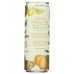 MABI ARTISANAL TEA: Apricot Passion Cold Brewed Spice Tea, 12 fo