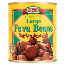ZIYAD: Bean Fava Lrg, 15 oz