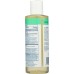 HOME HEALTH: Blemish Treatment Skin Lotion, 8 Oz