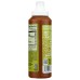 FRONTERA: Sauce Hot Ssme Red Chili, 10 oz