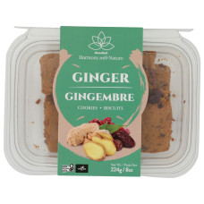 GLUTENULL: Ginger Square Cookies, 7.9 oz