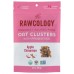 RAWCOLOGY: Oat Clustrs Apple Cin Org, 3.2oz