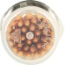 PRESERVE: Mint Tea Tree Toothpicks, 35 pc