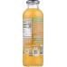 HONEST TEA: Organic Green Dragon Tea, 16 fo