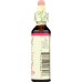 NELSON BACH: Restore Endurance Flower Remedies Oak, 20 ml