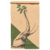 TONYS COFFEE: Upland Medium Roast Whole Bean Coffee, 12 oz
