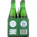 BOYLAN: Soda Ginger Ale 4Pk, 48 fo