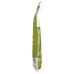 CUSI WORLD: Green Yellow Banana Pancake Mix, 7.05 oz