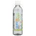 ALKALINE88: Plus Sport Lemon Citrus, 15.6 fo