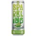 ALO: Sparkling White Grape Aloe Vera Juice, 11.2 fo