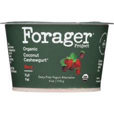 FORAGER: Organic Coconut Cashewgurt Berry, 4 oz