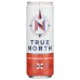 TRUE NORTH: Grapefruit Lemonade Energy Drink, 12 fo