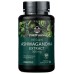 PLANTFUSION: Ashwagandha 500mg, 60 vc