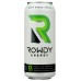 ROWDY ENERGY: Drink Energy Sr Grn Apple, 16 fo