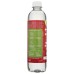 VIBIPLUS: Strawberry Kiwi, 16.9 fo