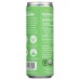 FRESH FIZZ: Sparkling Mint Lemonade, 12 fo