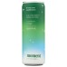 MOMENT: Kiwi Chlorophyll Botanical Water, 11.5 fo