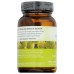 ORGANIC INDIA: Amla Rejuvenating Superfruit, 90 cp