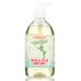 REBEL GREEN: Soap Hand Frnkncns N Pine, 16.9 oz