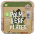 GREENLID: Palm Leaf Tableware, 10 pk