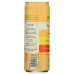 SKIN TE: Peach Mango Sparkling Wellness Tea, 12 fo